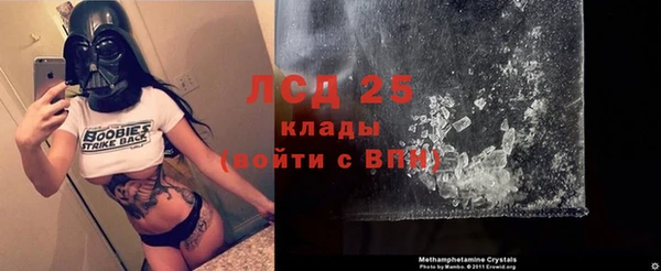 меф Ельня