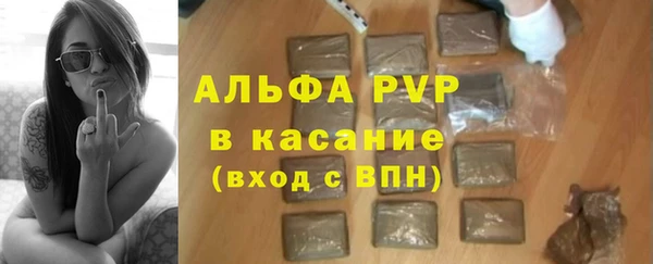 меф Ельня