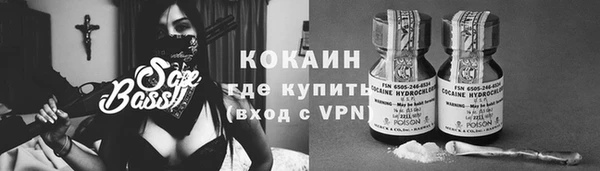 меф Ельня