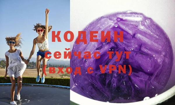 меф Ельня