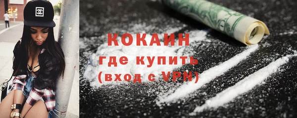 меф Ельня