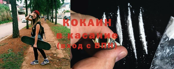 меф Ельня