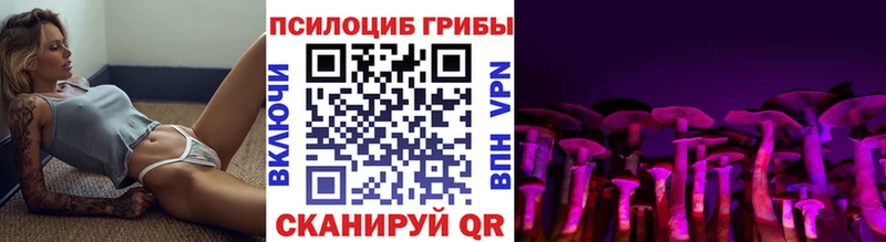 Галлюциногенные грибы MAGIC MUSHROOMS  Купить где  Лобня 
