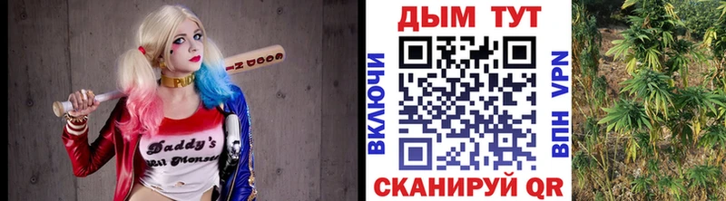 Каннабис AK-47  Купить закладки  Лобня 
